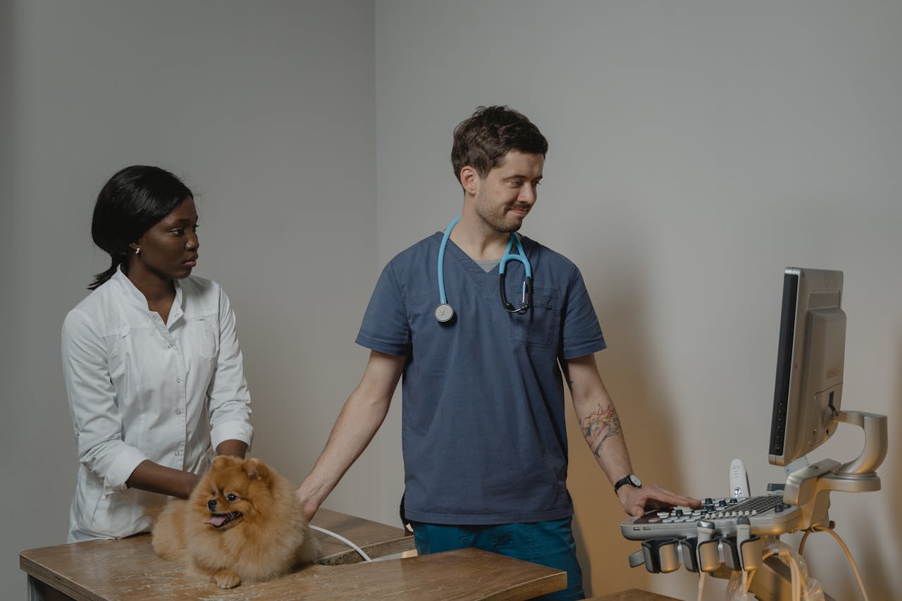 hero-img-01 Veterinarian performs ultrasound check-up on dog with veterinary assistant present.